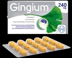 Produktbild von GINGIUM 240 mg Filmtabletten 20 St