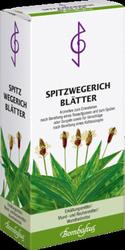 Produktbild von SPITZWEGERICHBLÄTTER Tee 75 g