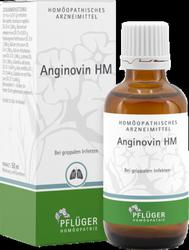 Produktbild von ANGINOVIN HM Tropfen 50 ml