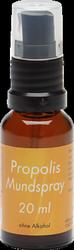 Produktbild von PROPOLIS MUNDSPRAY 20 ml
