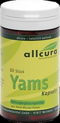 Produktbild von YAMS Kapseln 250 mg Yamspulver 60 St