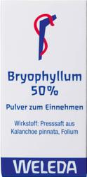 Produktbild von BRYOPHYLLUM 50% Pulver zum Einnehmen 20 g