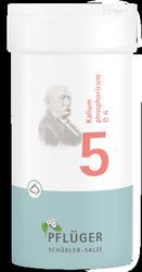 Produktbild von BIOCHEMIE Pflüger 5 Kalium phosphoricum D 6 Pulver 100 g