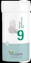Produktbild von BIOCHEMIE Pflüger 9 Natrium phosphoricum D 6 Pulv. 100 g