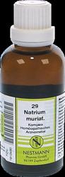 Produktbild von NATRIUM MURIATICUM KOMPLEX Nr.29 Dilution 50 ml