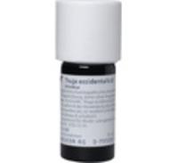 Produktbild von THUJA OCCIDENTALIS Urtinktur 20 ml