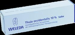 Produktbild von THUJA OCCIDENTALIS 10% Salbe 25 g