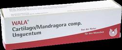 Produktbild von CARTILAGO/Mandragora comp Unguentum 30 g