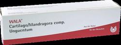 Produktbild von CARTILAGO/Mandragora comp Unguentum 100 g