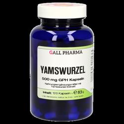 Produktbild von YAMSWURZEL 500 mg GPH Kapseln 120 St