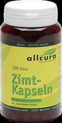 Produktbild von ZIMT KAPSELN 100 St