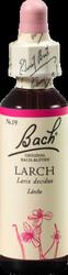 Produktbild von BACHBLÜTEN Larch Tropfen 20 ml