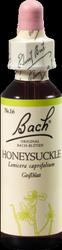 Produktbild von BACHBLÜTEN Honeysuckle Tropfen 20 ml
