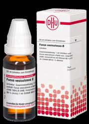 Produktbild von FUCUS VESICULOSUS Urtinktur 20 ml