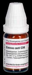 Produktbild von COCCUS cacti C 30 Globuli 10 g