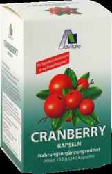 Produktbild von CRANBERRY KAPSELN 400 mg 240 St