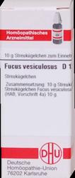 Produktbild von FUCUS VESICULOSUS D 12 Globuli 10 g
