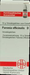 Produktbild von PAEONIA OFFICINALIS D 6 Globuli 10 g