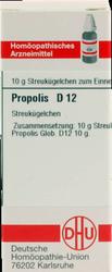 Produktbild von PROPOLIS D 12 Globuli 10 g