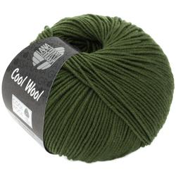 Produktbild von Cool Wool Farbe 2042 Dunkeloliv
