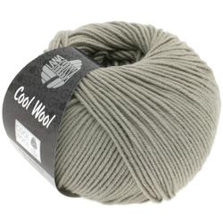 Produktbild von Cool Wool Farbe 2027 Dunkles Grège
