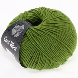Produktbild von Cool Wool Farbe 0471  Linde