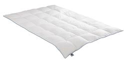 Produktbild von Daunendecke Badenia Irisette                 weiß
     | Möbel Inhofer