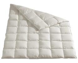 Produktbild von Daunendecke Pro Night                 beige
     | Möbel Inhofer