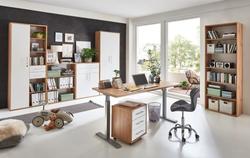 Produktbild von Aktenschrank                 braun
                    Holzwerkstoff
    | Möbel Inhofer